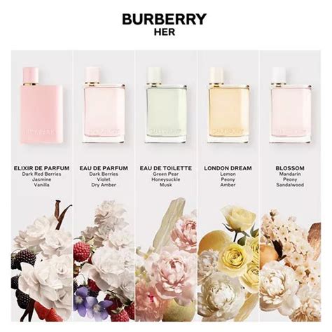 best smelling burberry perfume for her|Burberry perfume winners list.